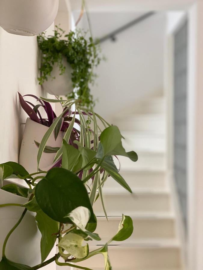 Romantic Wellness Bnb Noordwijk Ngoại thất bức ảnh